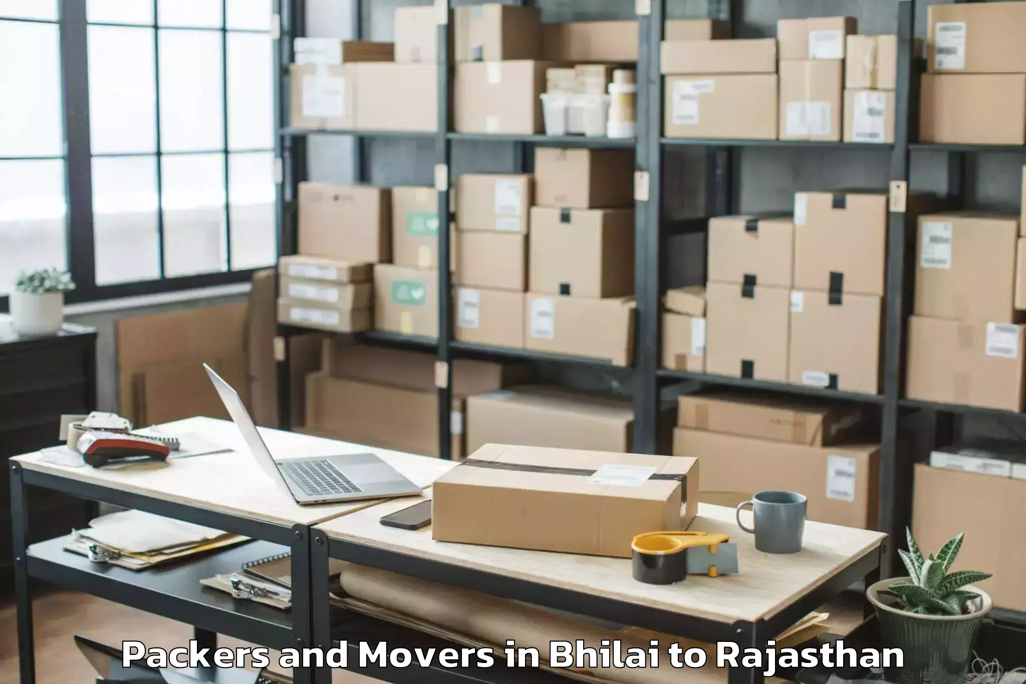 Get Bhilai to Udaipur Packers And Movers